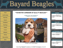 Tablet Screenshot of bayardbeagles.co.uk